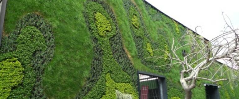 Illustration de : Un mur végétalisé remarquable pour Montrouge !
