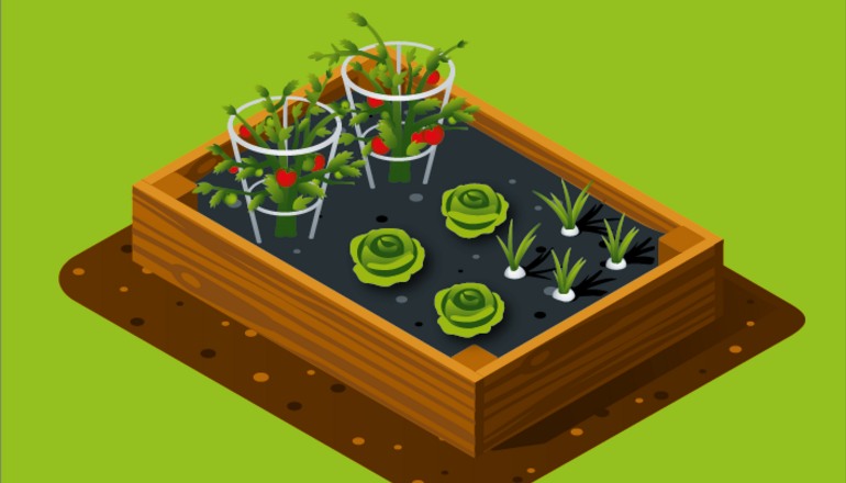 Illustration de : Améliorer les bacs des permis de végétaliser
