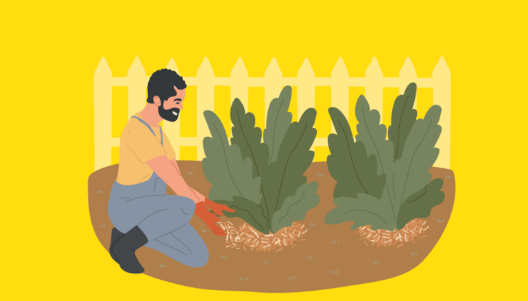 Illustration de : Jardin partagé du Vieux-Montrouge