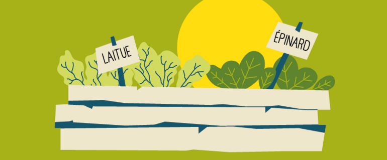 Illustration de : Jardin partagé et projet artistique Rue Chopin