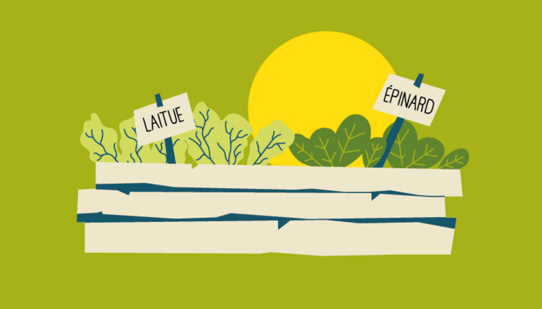 Illustration de : Jardin partagé et projet artistique Rue Chopin