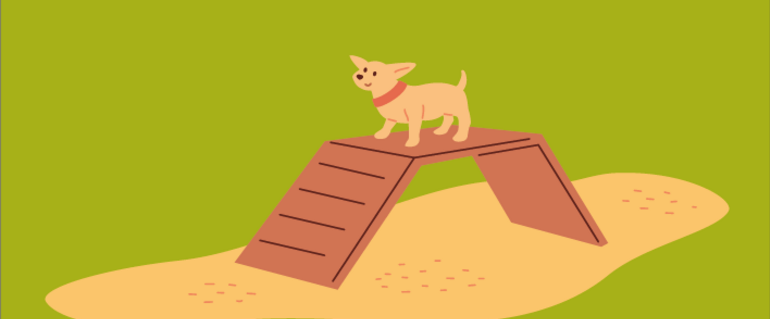 Illustration de : Amélioration des deux espaces canins existant