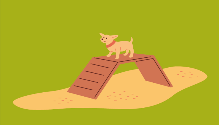 Illustration de : Amélioration des deux espaces canins existant